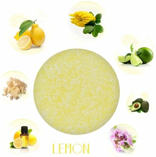 mejores champus solidos